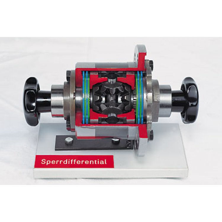 Limited-slip differential with multi-disk clutches (ZF)